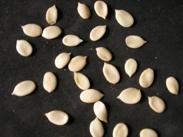 EGUSI (Melon Seeds)