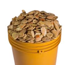 OGBONO (Wild Mango Seeds)