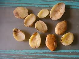 OGBONO (Wild Mango Seeds)